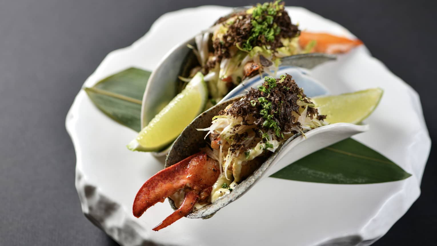 Two lobster tacos with celeriac aioli and black truffle plated on an organic-shaped white platter and garnished with two lime wedges and a large green leaf