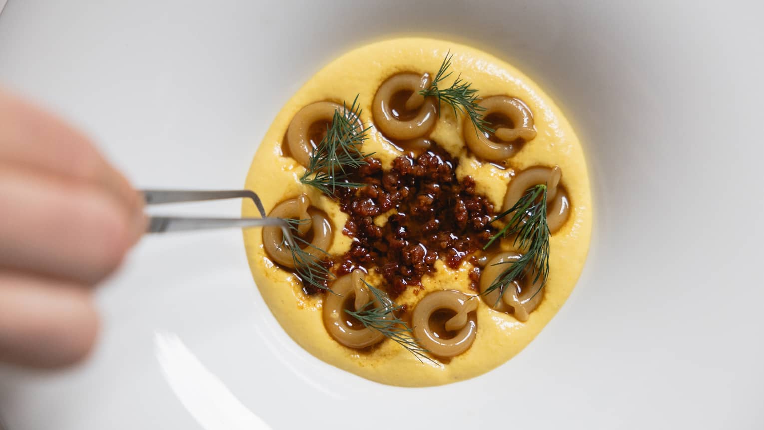 A close-up of a dischi volanti pasta dish being plated with tweezers.