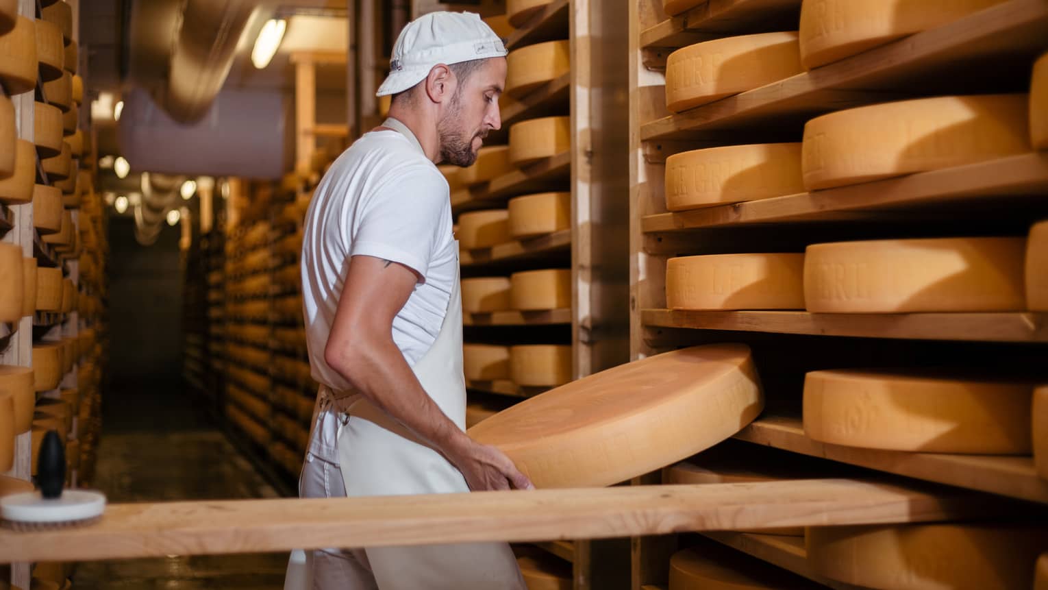 Cheese maker storing wheel of Gruy�re cheese on rack