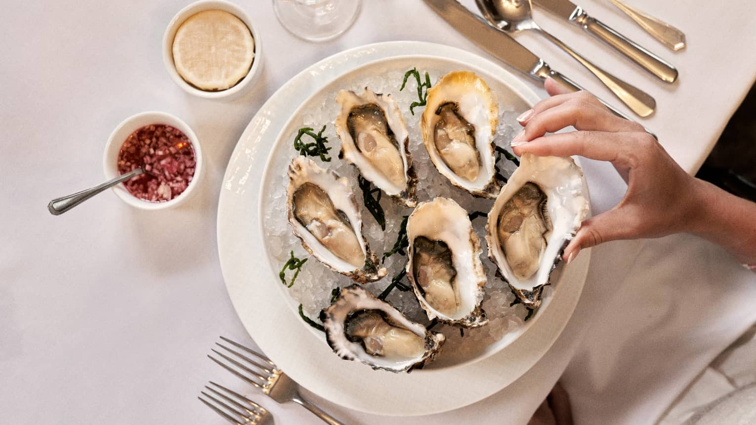 Hand picking up an in-shell oyster from ice-filled bowl of five more in-shell oysters in elegant place setting