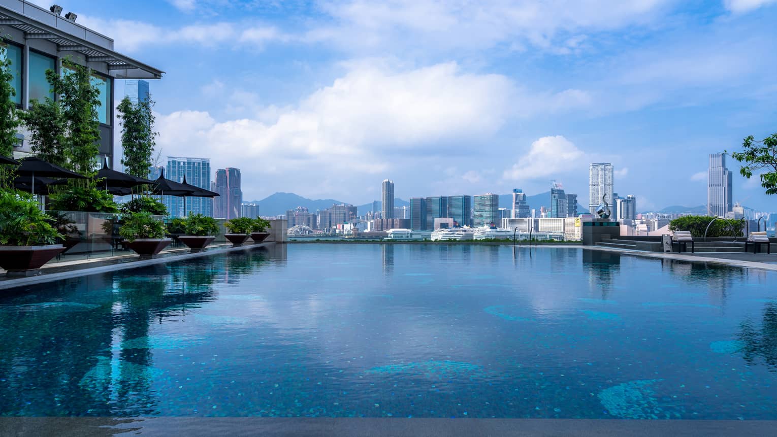An infinity pool with blue water reflecting the sky, surrounded by potted plants and shaded lounge chairs. A city skyline, including the harbour, is visible.