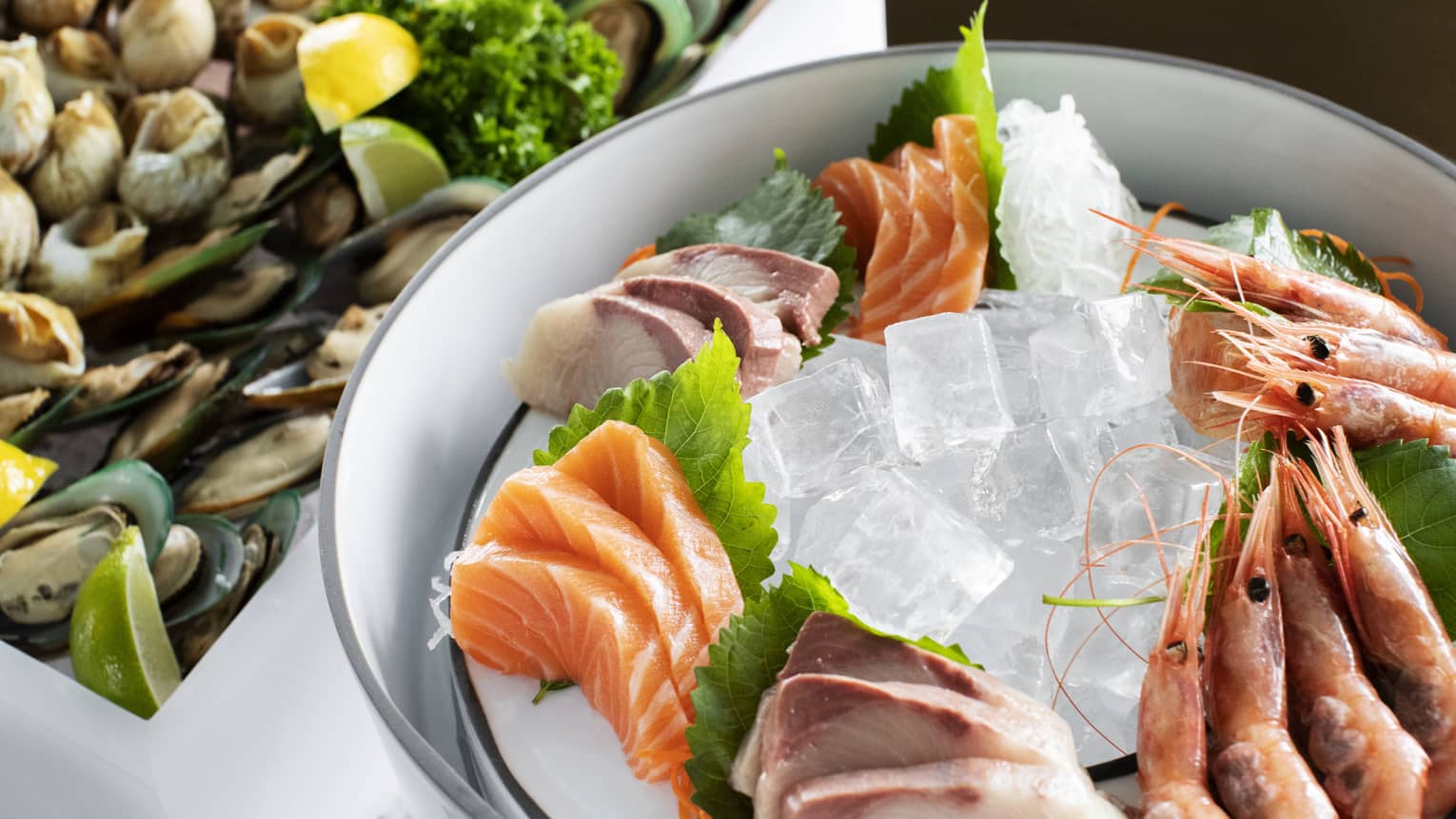 Seafood on ice, raw bar