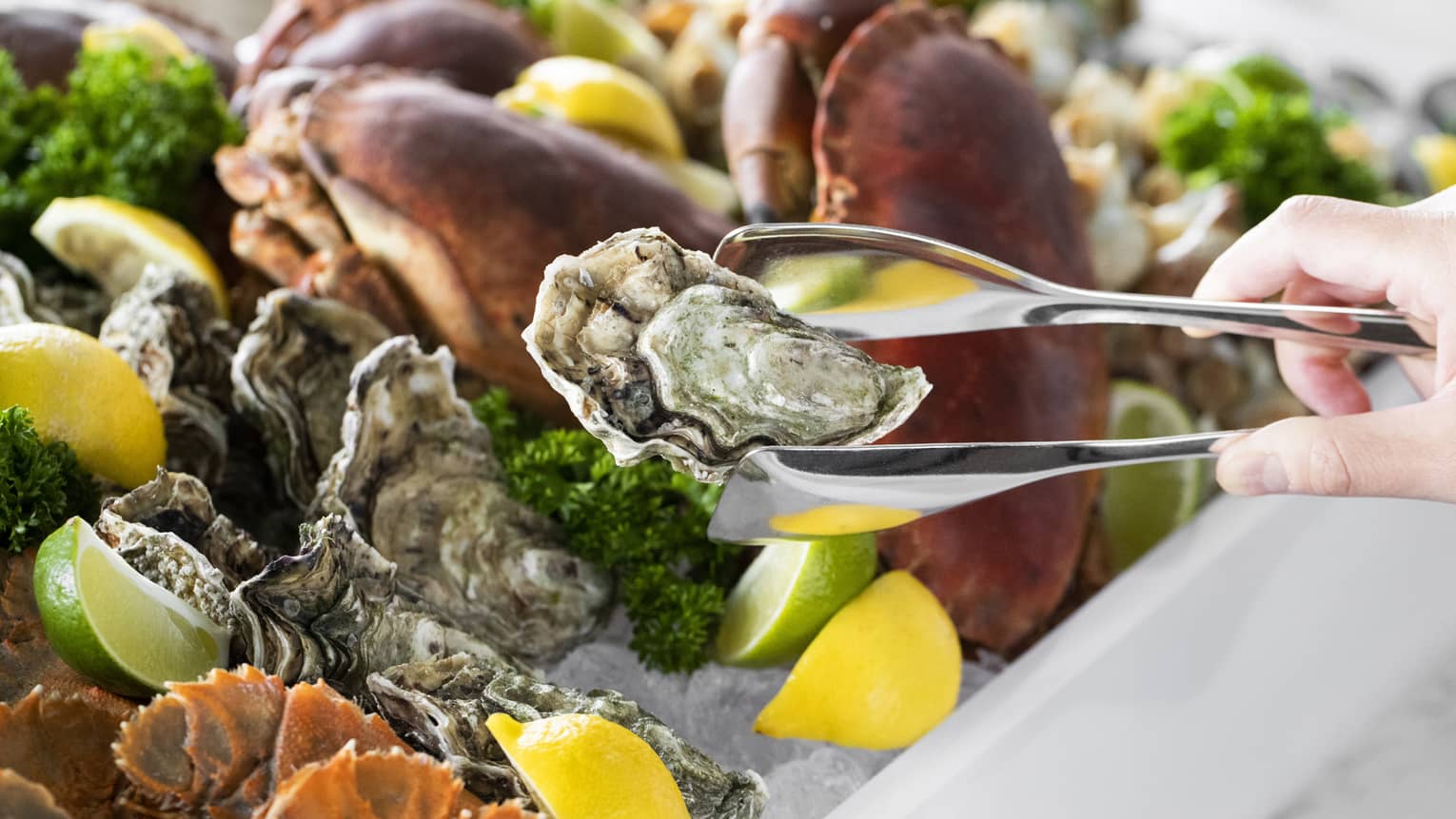 Seafood station at buffet