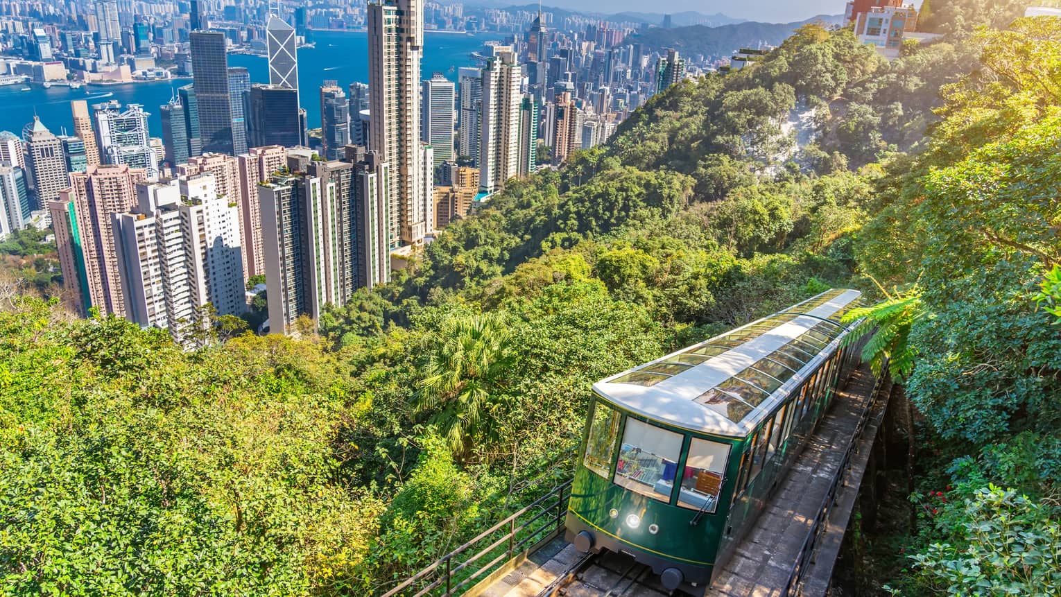 The Peak Tram rises about Hong Kong city on a lush mountainside