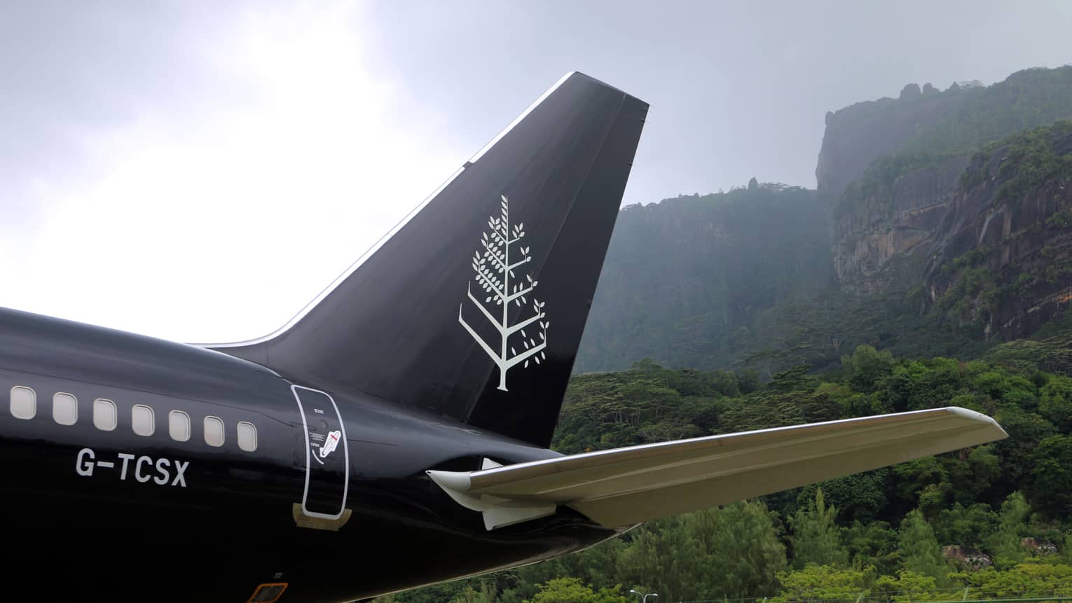 Tail end and rear wing of a FS private jet, green foliage in the background 