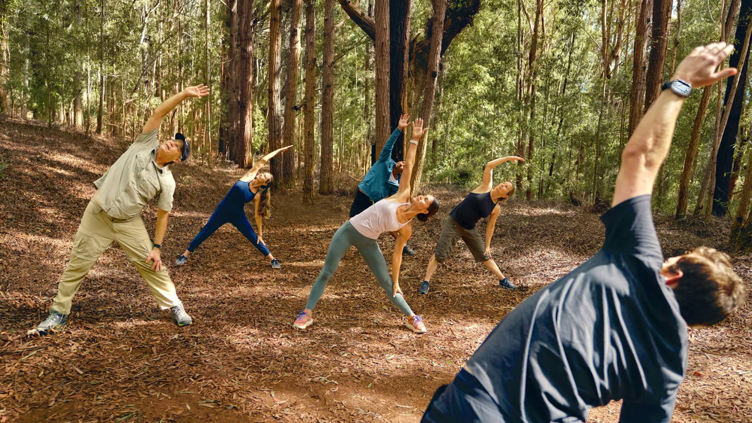 A group of people do yoga in forest