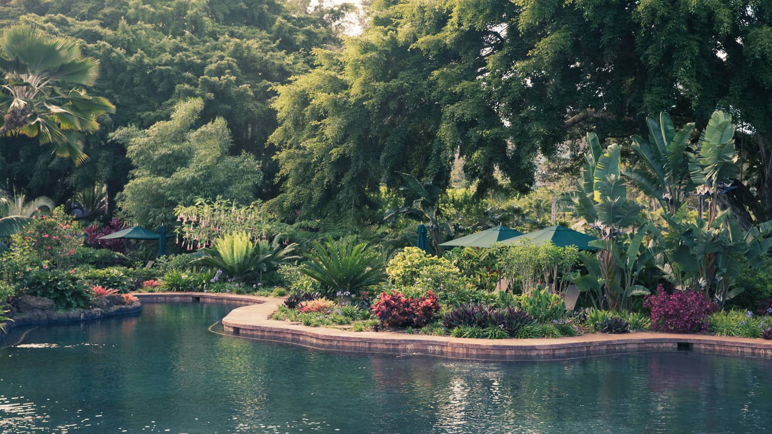 Outdoor free-form pool edged by lush landscaping in warm-weather setting