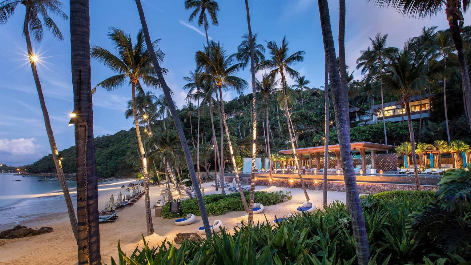 Tall palm trees, lounge chairs on white sand beach in front of CoCoRum bar at night