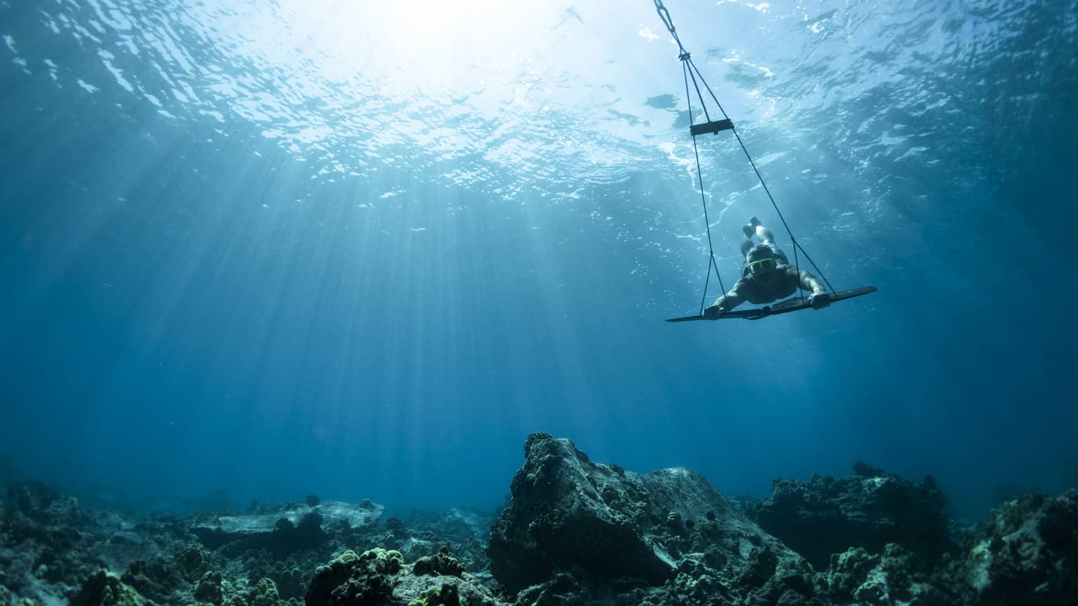 A guest uses a subwing to explore underwater