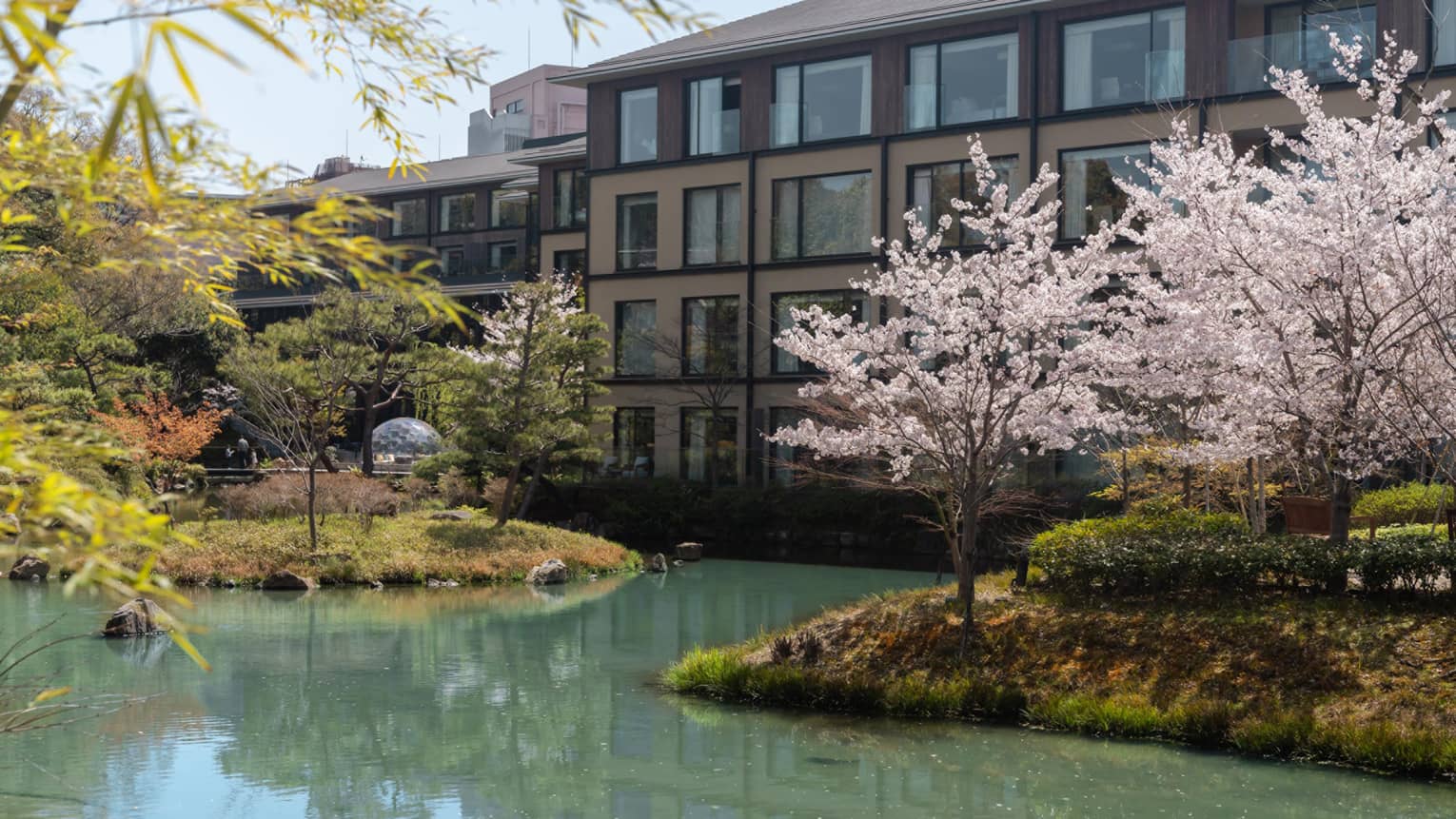 A hotel and pond with cherry blossom trees
