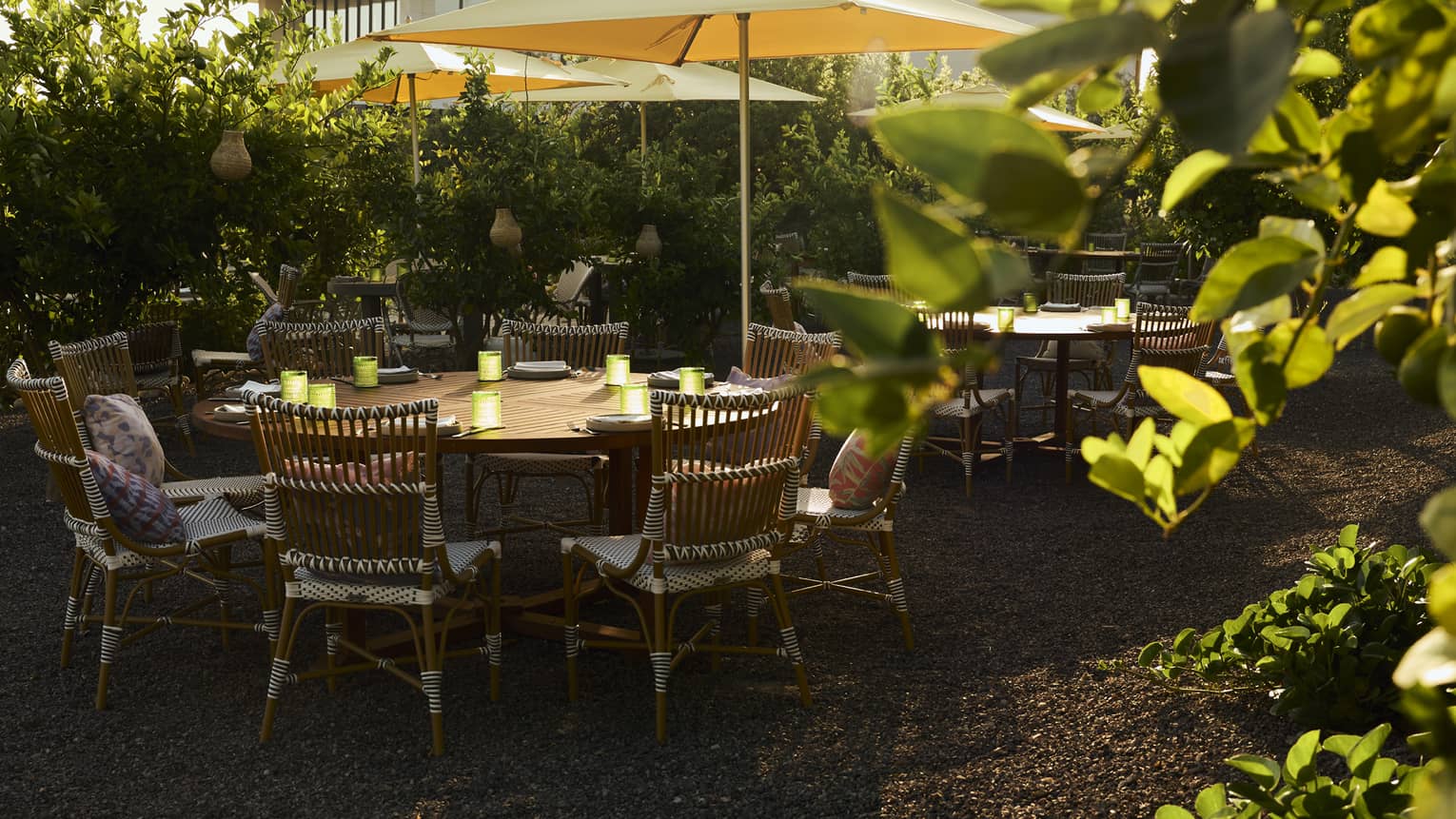 Round outdoor table with rattan chairs in garden setting
