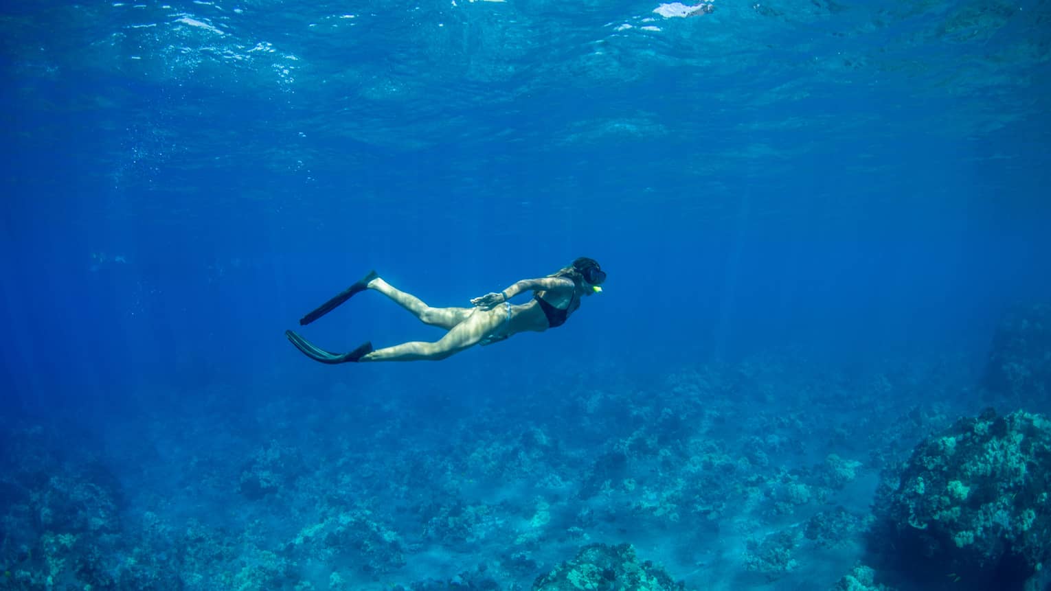 A snorkeller in black flippers and mask explores a rocky coral reef below, as rays of sunlight filter from above the blue water.