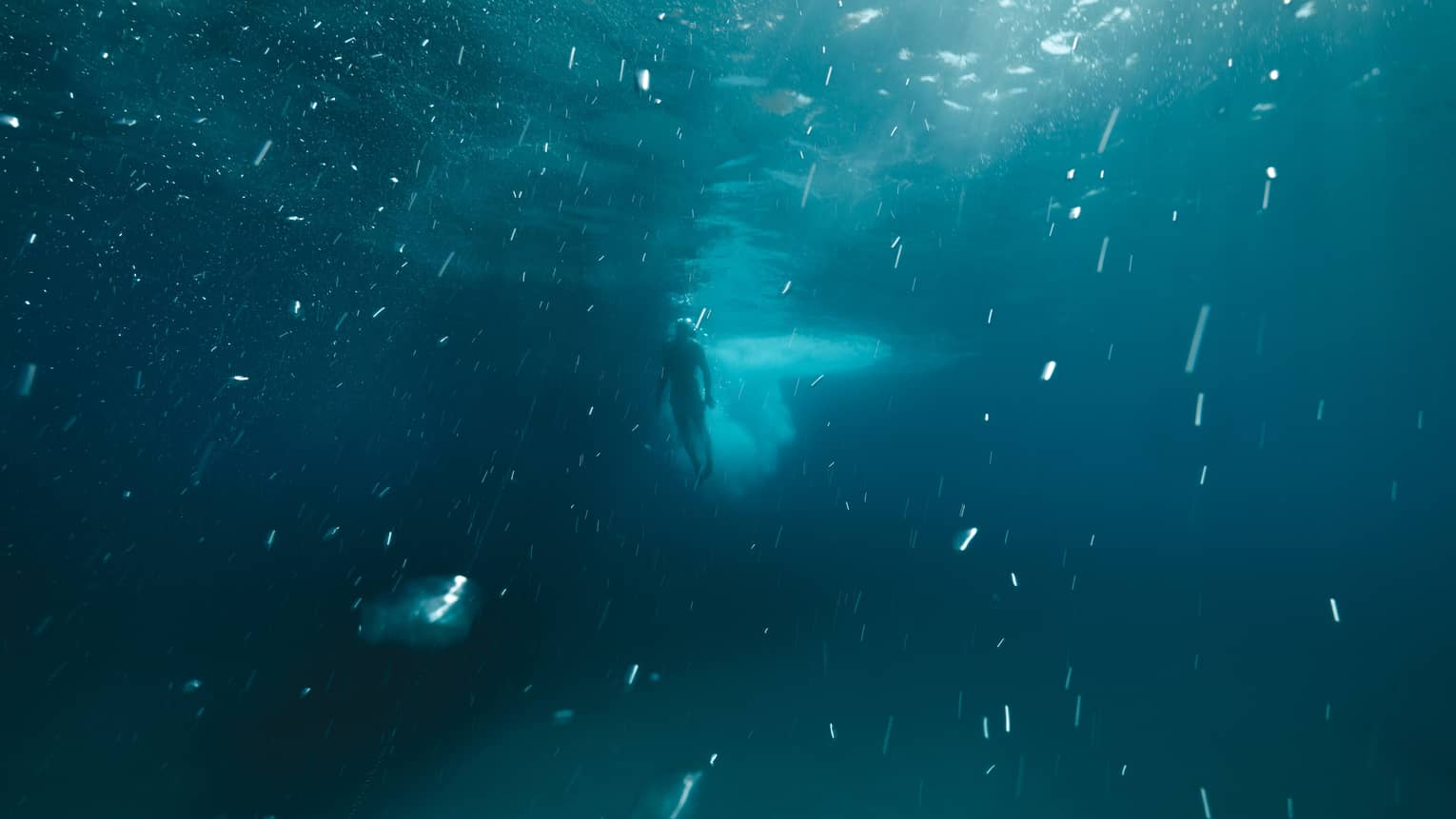 Diver in the deep blue sea
