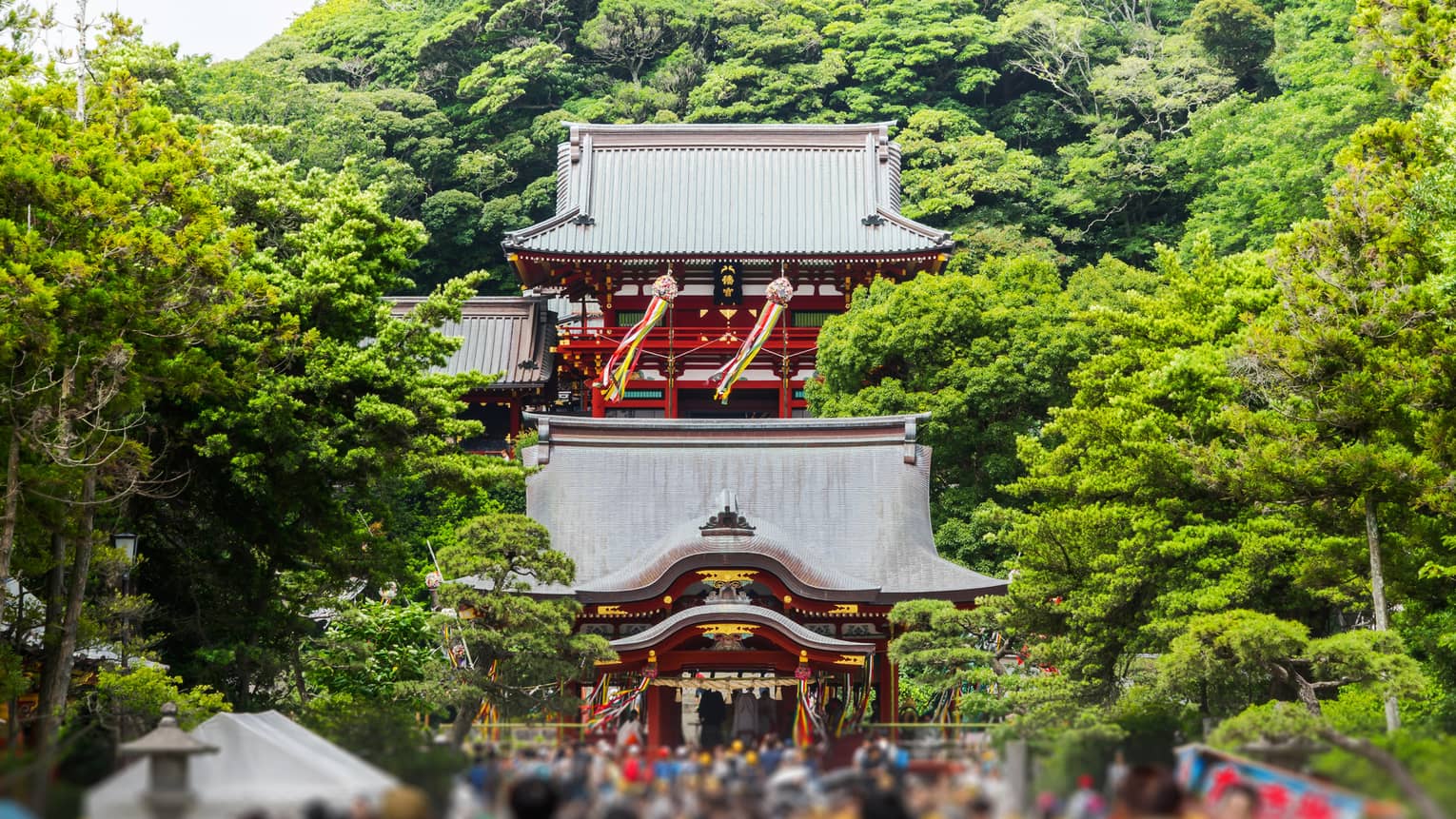 View towards a Shinto shrine decorated with colourful ribbons, blurred crowd in the foreground and towering trees behind.