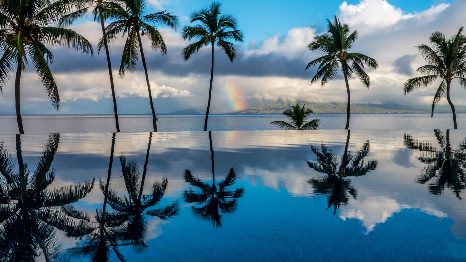 Scattered palm trees with blue sky and clouds in backdrop and reflecting on clear still water