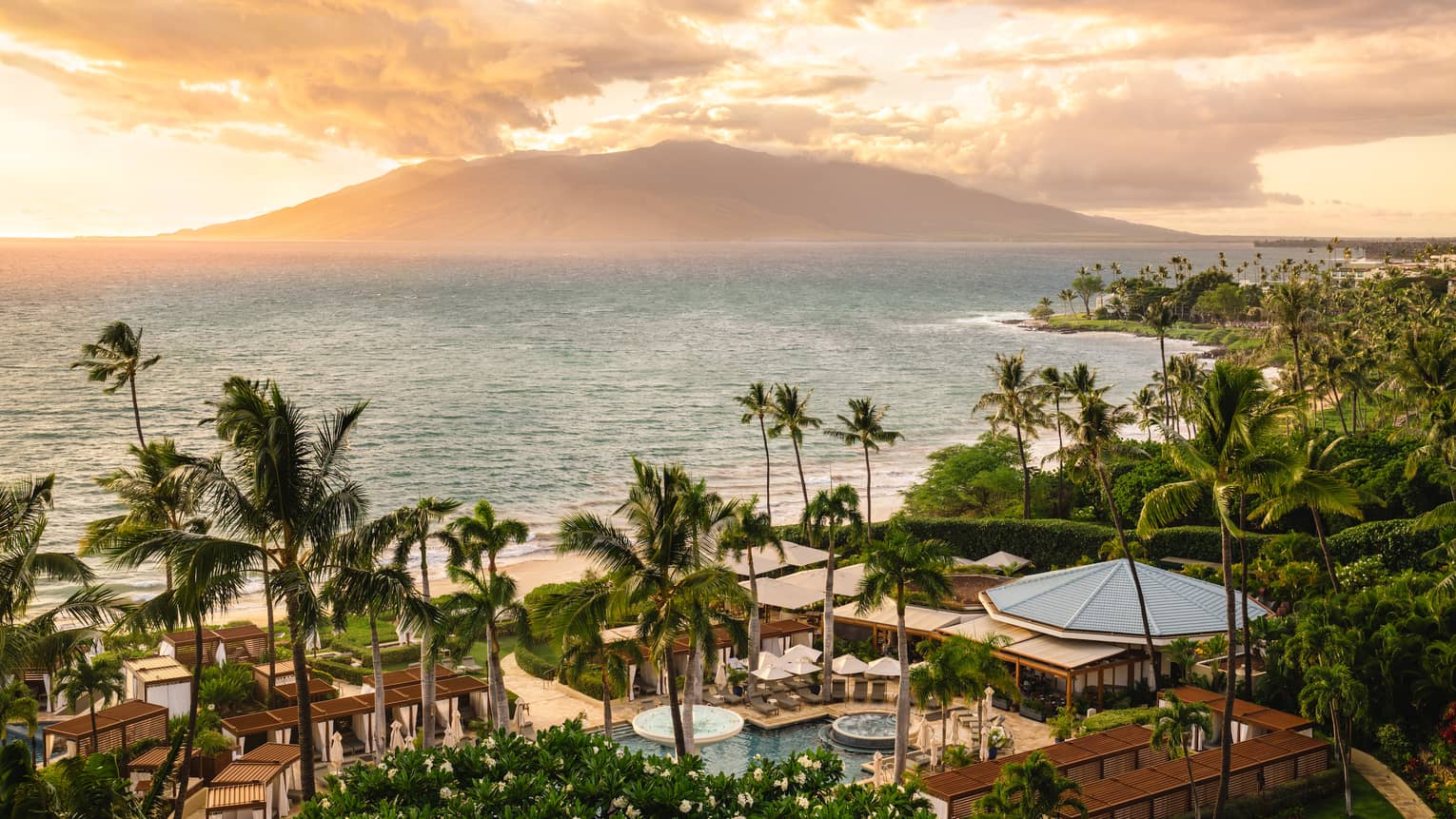 Resort with palm trees by the ocean