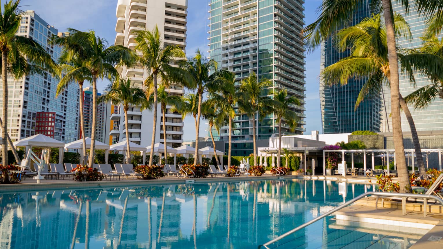 An outdoor pool with palm trees, umbrellas and tall buildings around it.