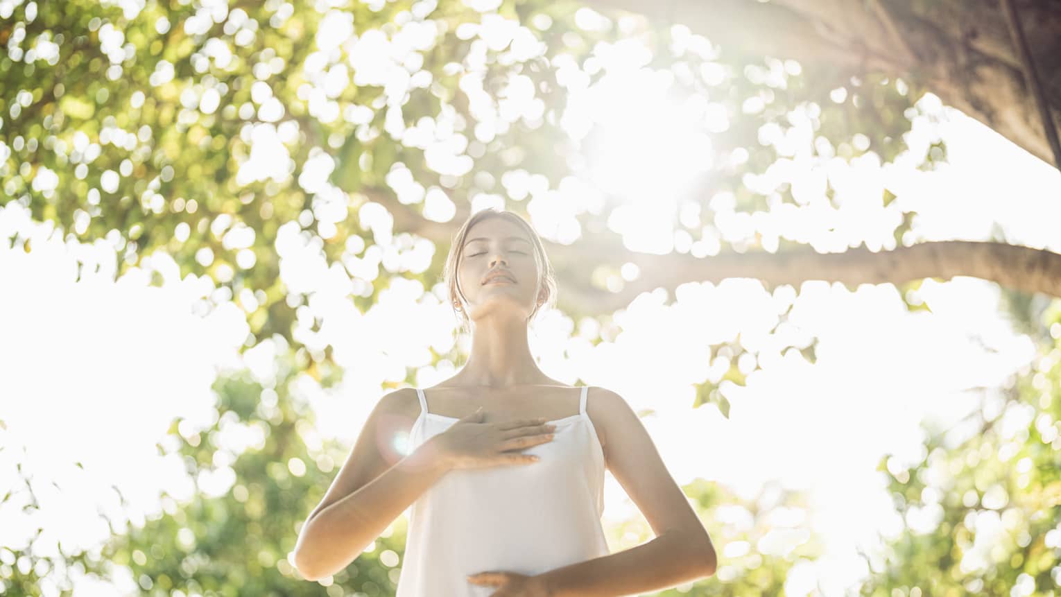 Person practicing mindful breathing in a wellness haven, standing under sunlit trees with hands on chest and abdomen