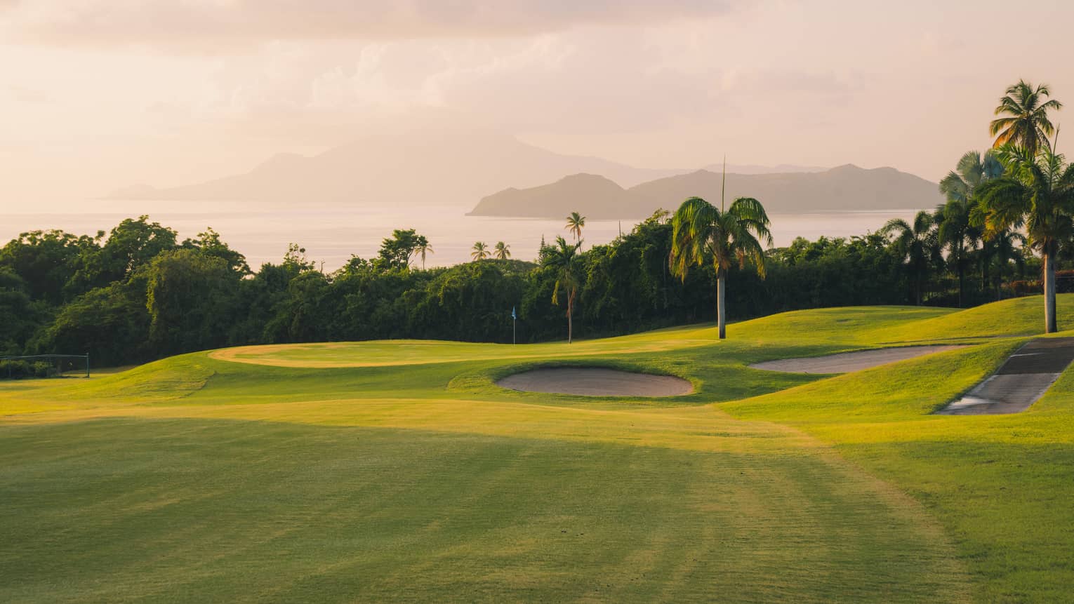 A golf course green with palm trees scattered around.