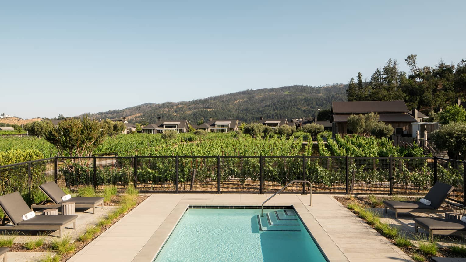 Rectangular pool of a private villa next to lush vineyards in wine country