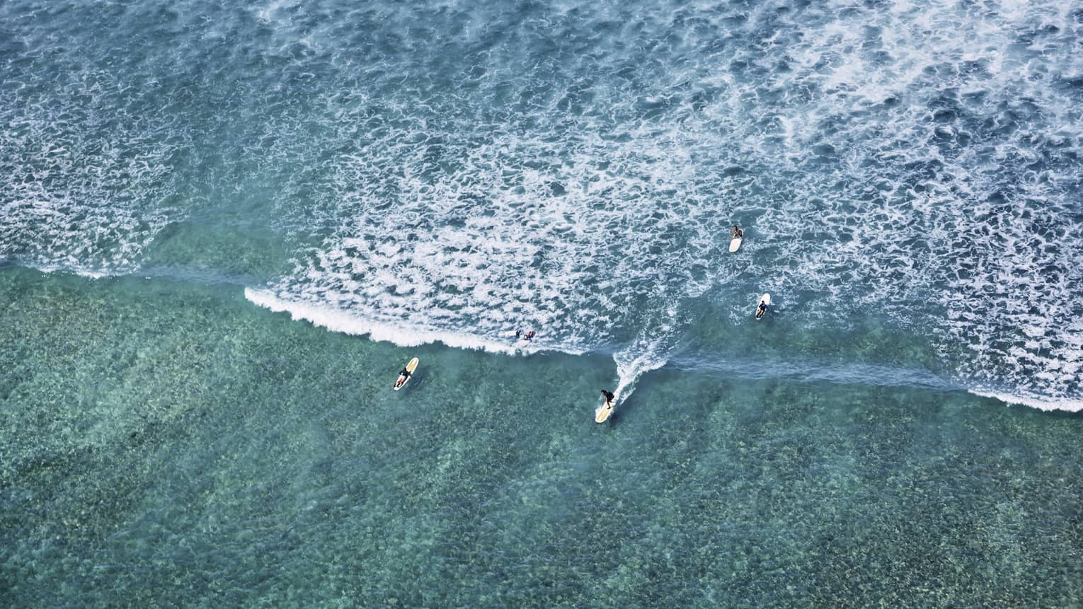 Long aerial view of a group of surfers as they slice through rippling turquoise waters ahead of a vast pattern of whitecaps.