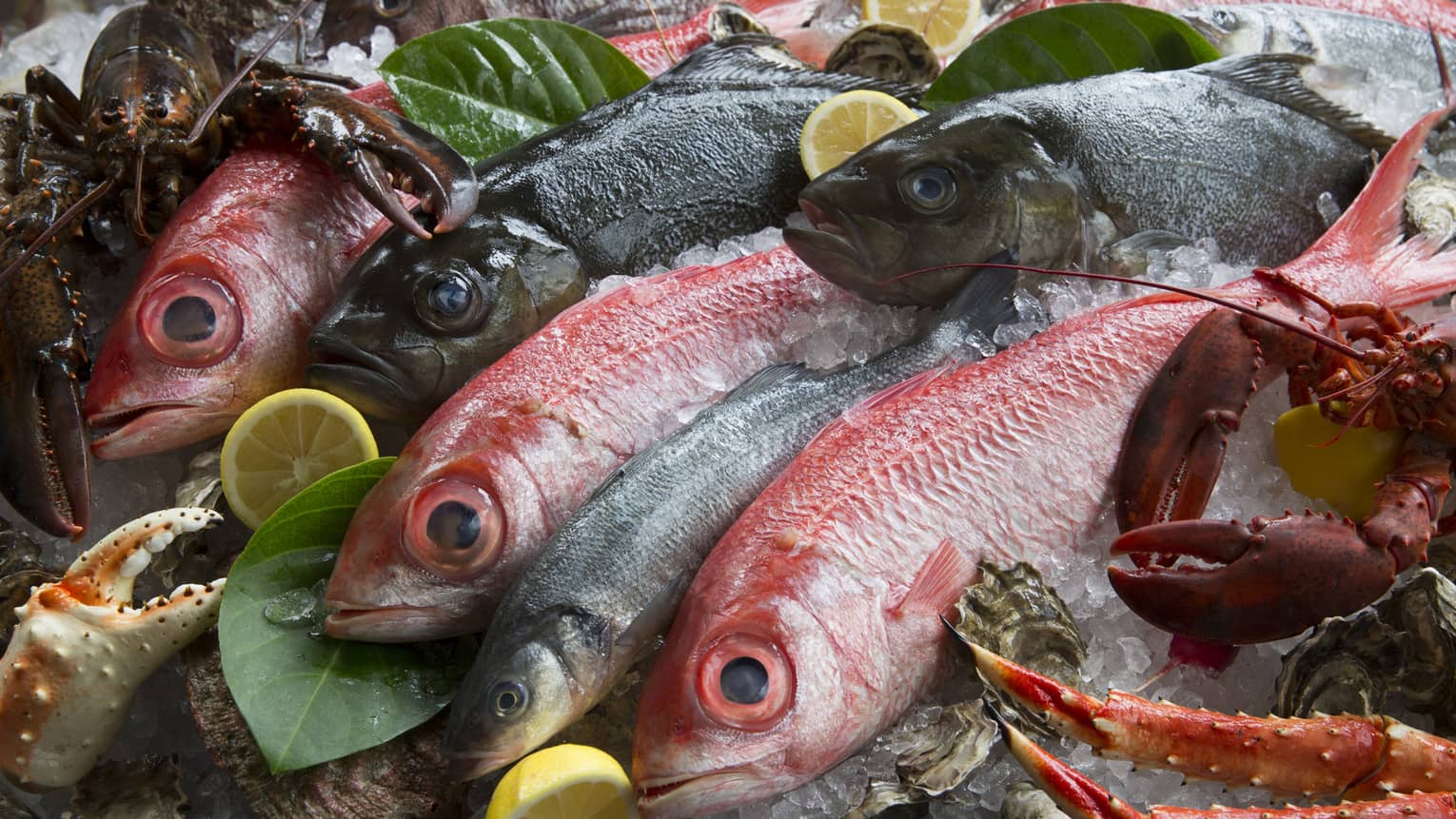 An array of fresh seafood on ice, including red snapper, Dungeness crab and lobster