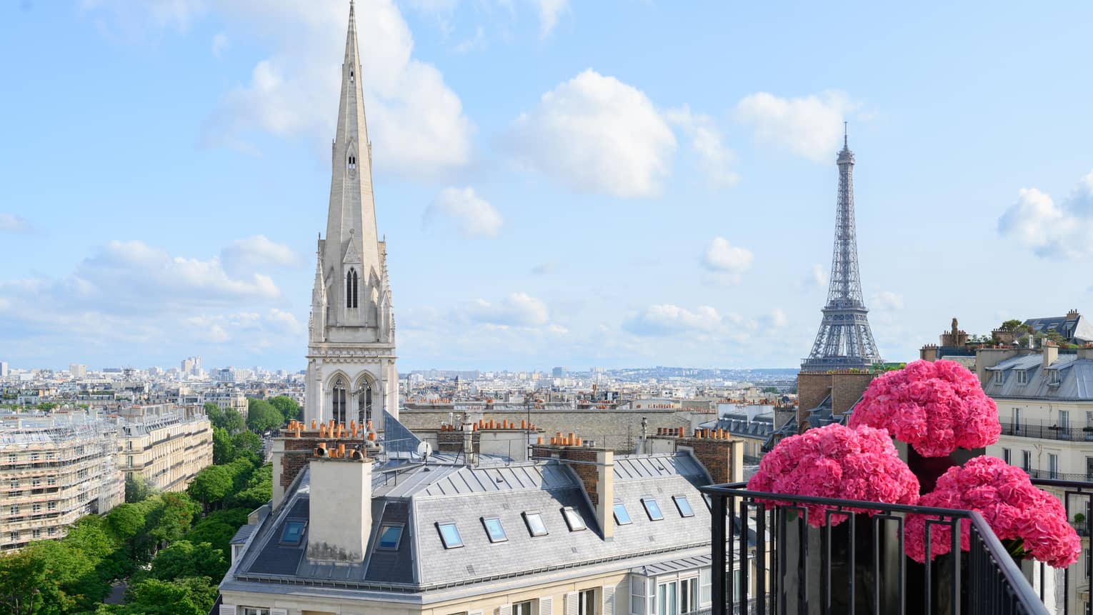 Pink flowers on balcony in front of Paris rooftops, cathedral and blue sky