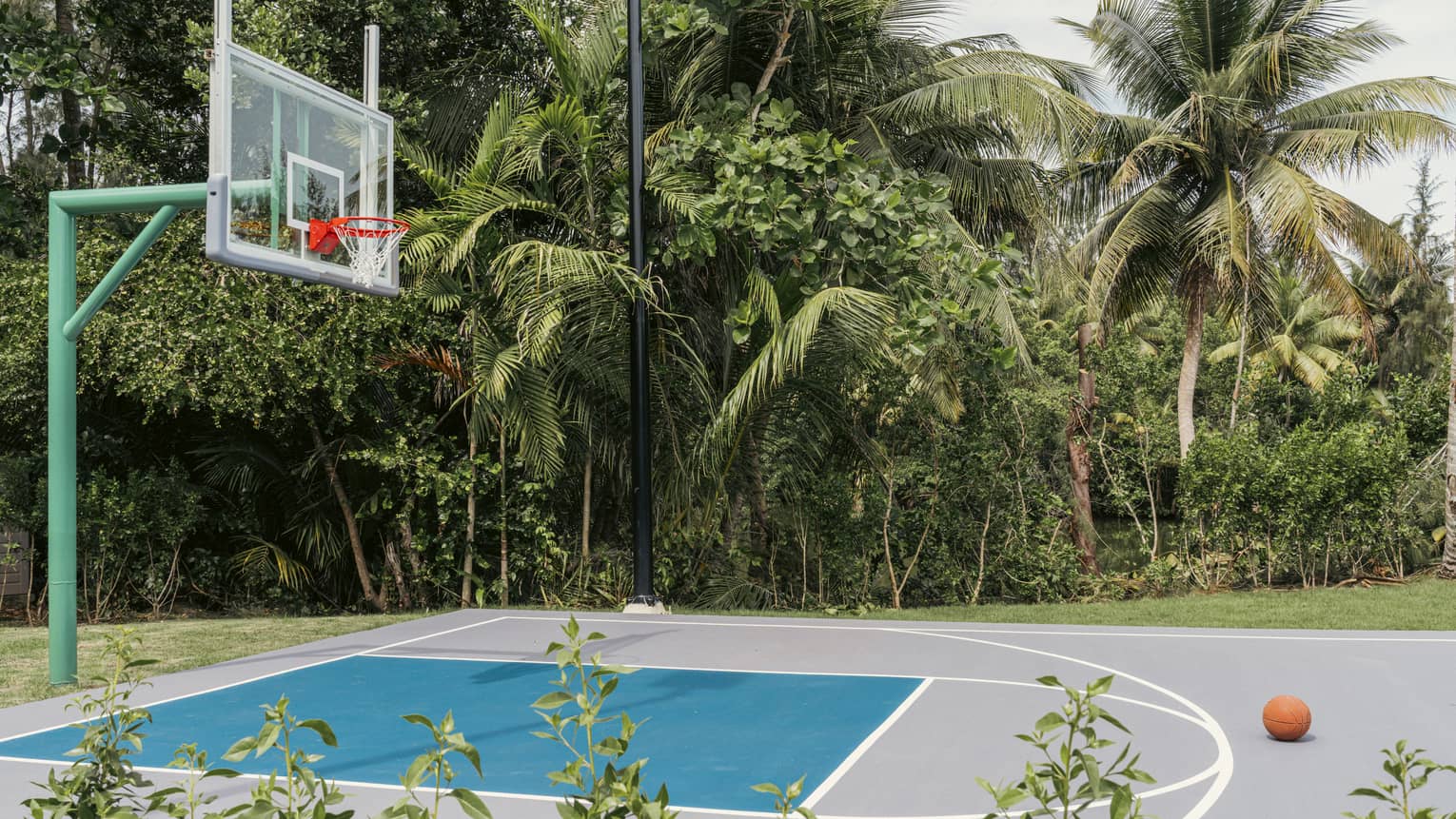 Basketball court surrounded by tropical trees