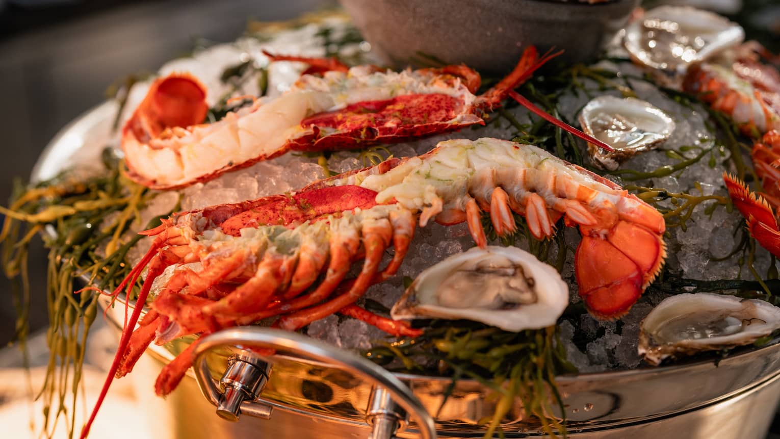 Lobster on ice