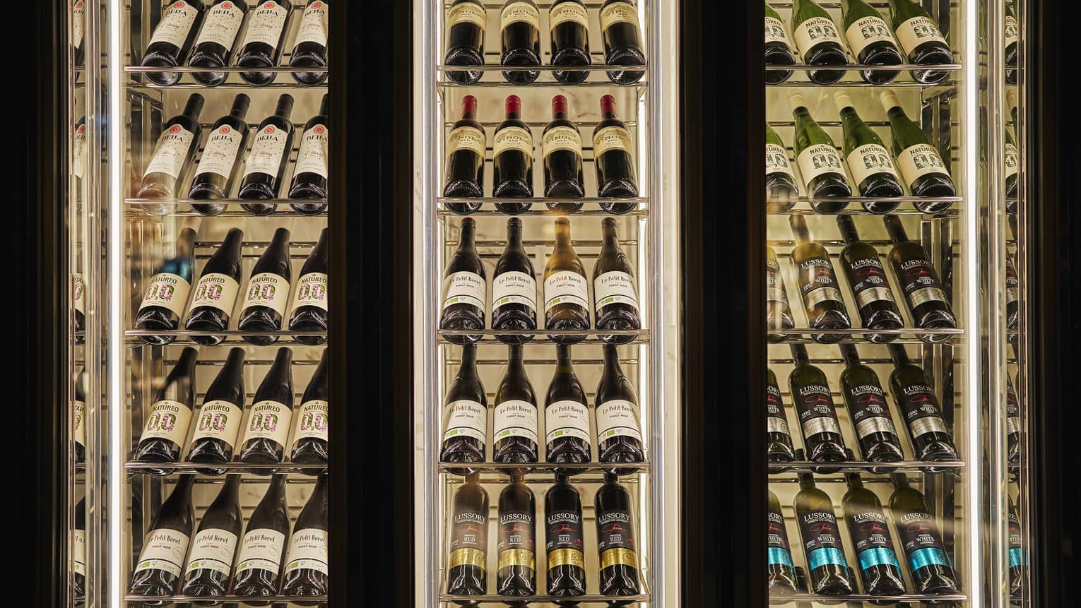 Glass-walled wine bottle storage