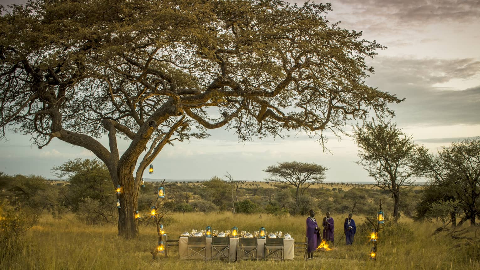 Three Maasai stand beside set dining table and chairs under a tree, lanterns in the Serengeti 