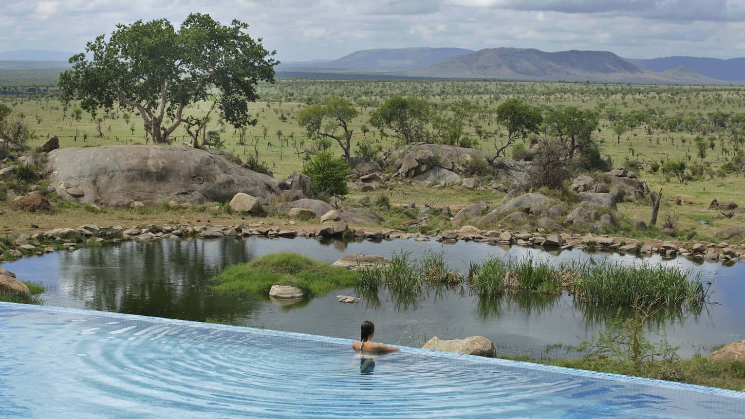 Woman stands at edge of infinity pool overlooking animal watering hole