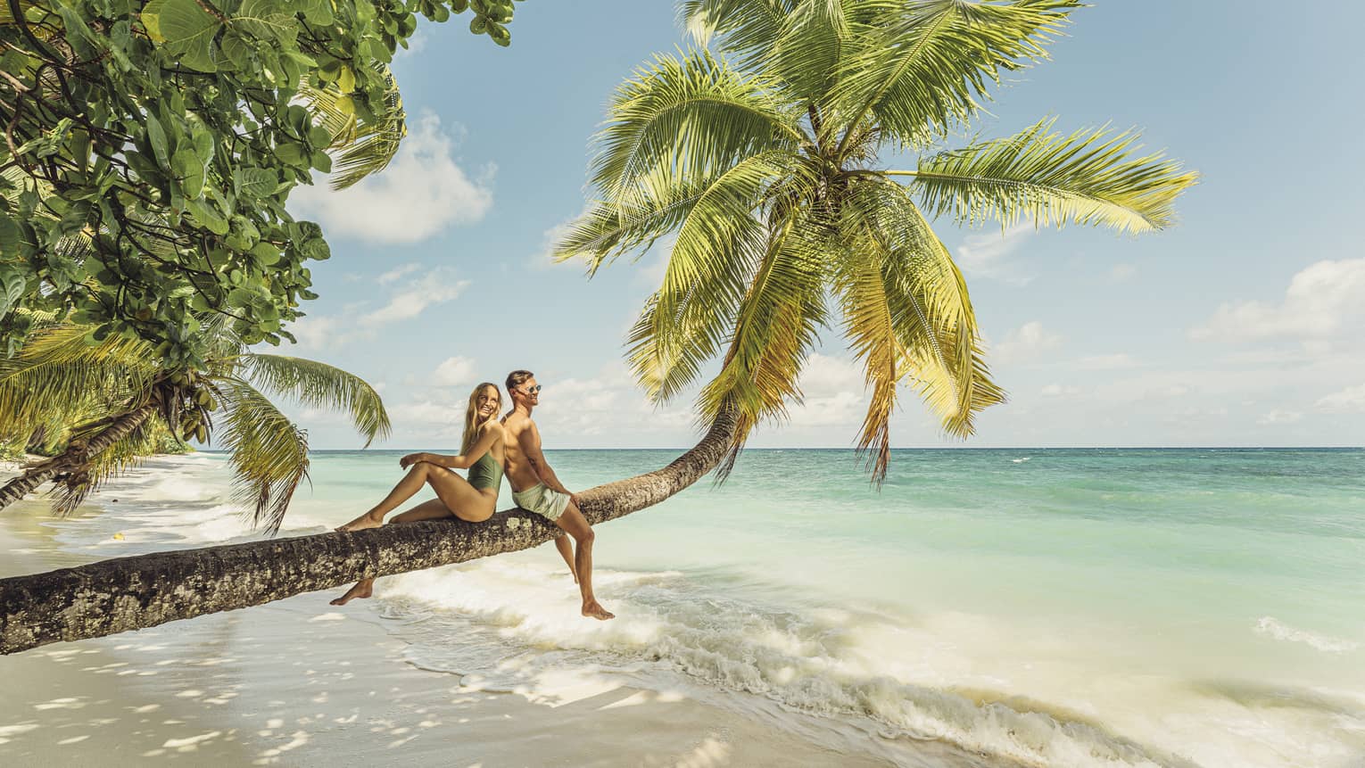 Two people pose back to back on a huge palm trunk stretching over a sandy beach, waves lapping the shore from turquoise sea. 