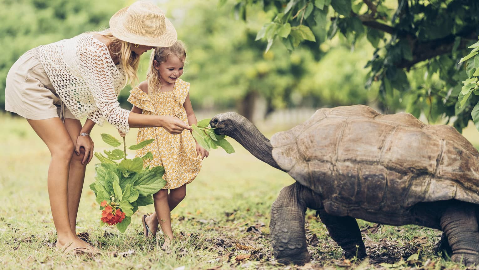 A parent feeds leaves to a giant tortoise as tall as the midsection of the smiling child holding another leafy branch. 