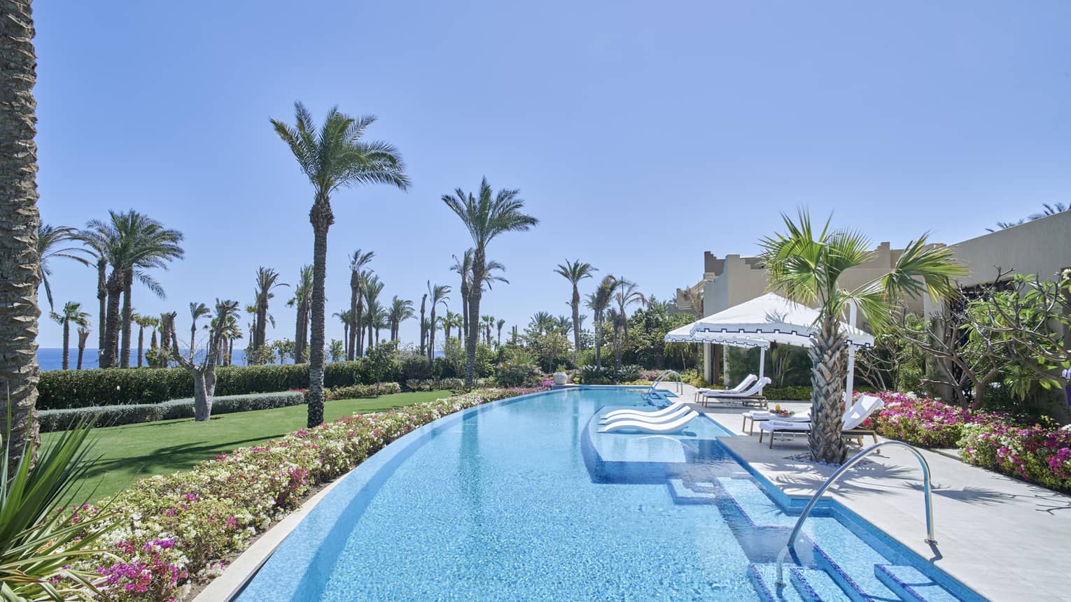Large private pool and lawn dotted with tall palm trees