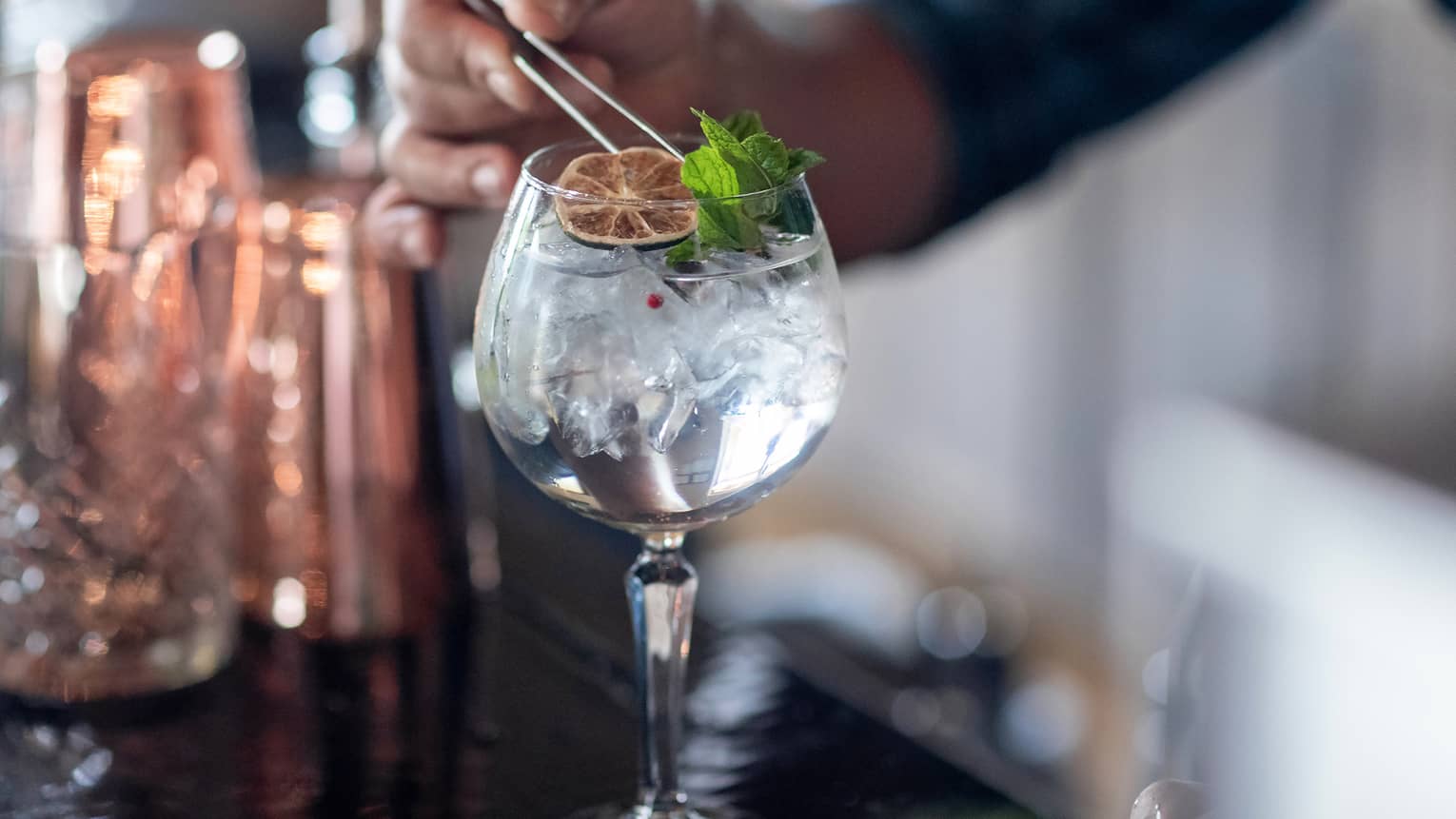 A clear cocktail with an orange wheel and herbs.