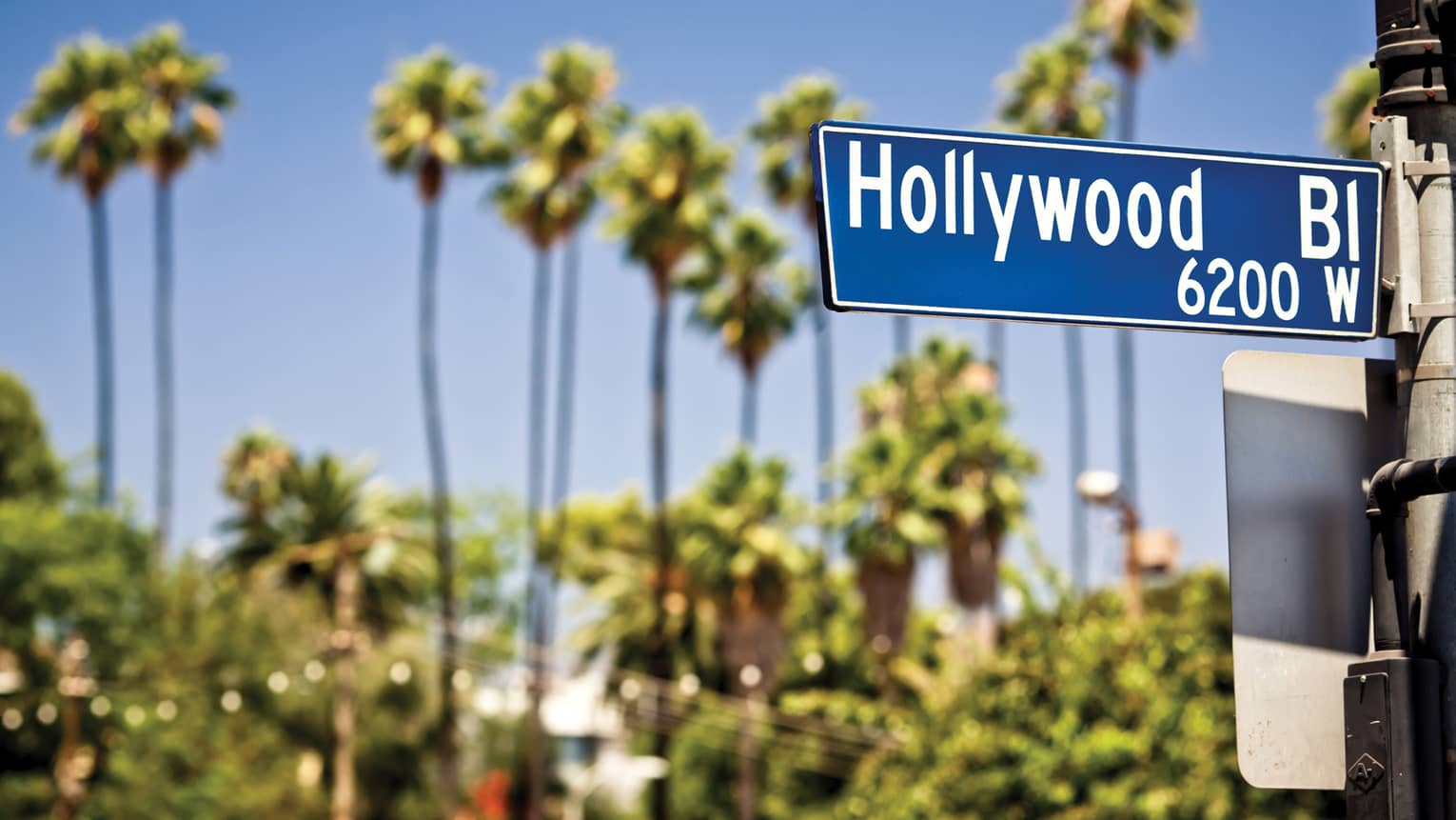 A Hollywood Boulevard sign with tall palm trees in the distance.