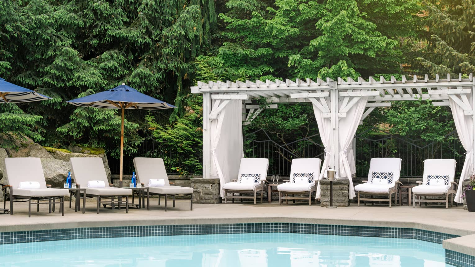 Lounge chairs around an outdoor pool with tall trees surrounding them.