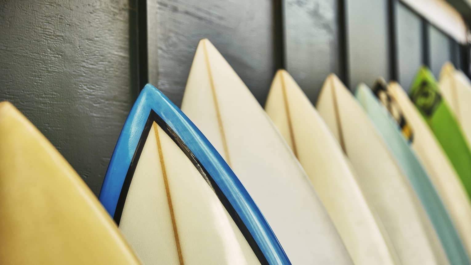 Close-up of the pointed tips of surfboards. All in the row, the upright boards lean against a dark board-and-batten wall.