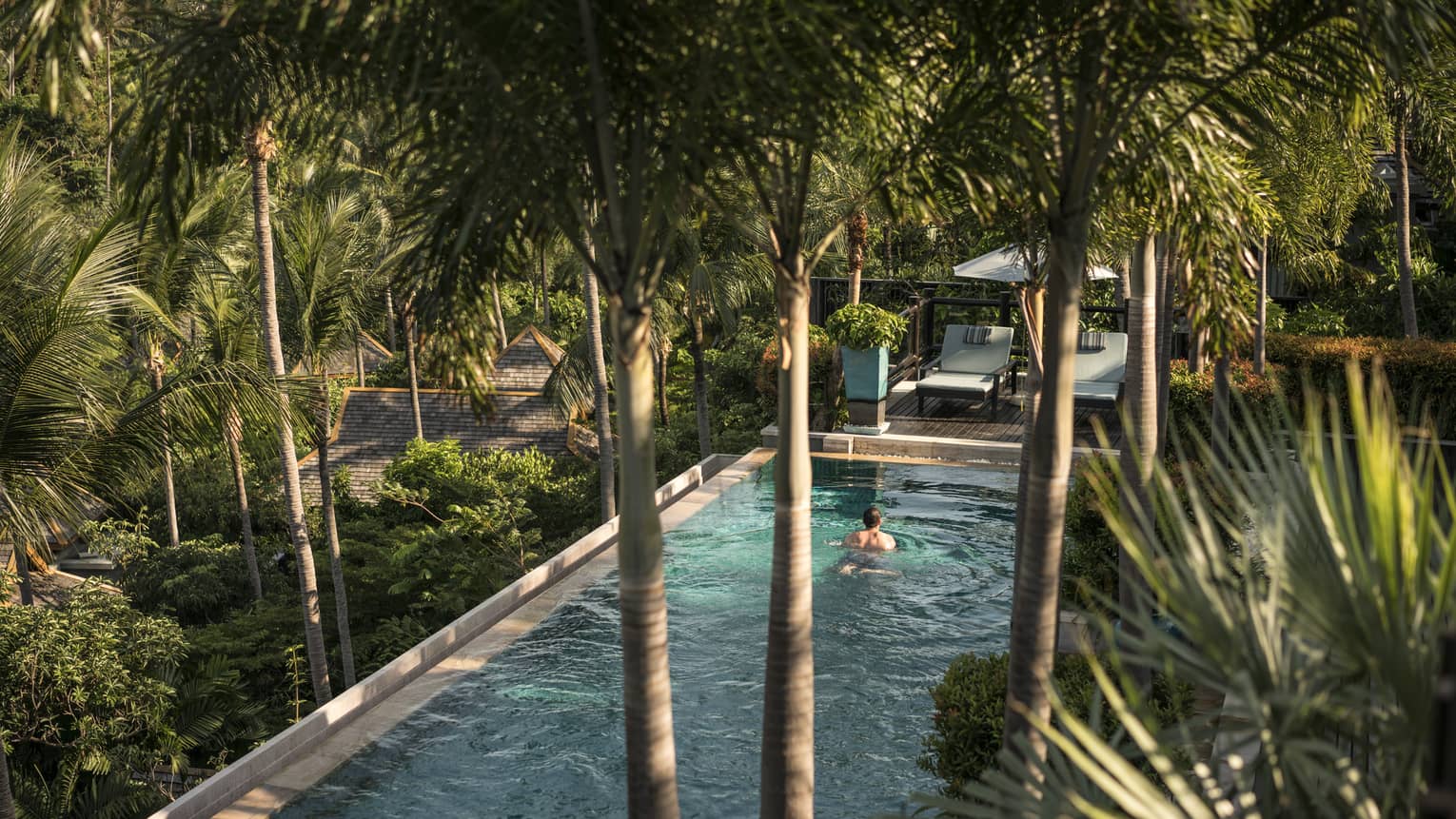 Man swims in pool surrounded by palm trees and other greenery