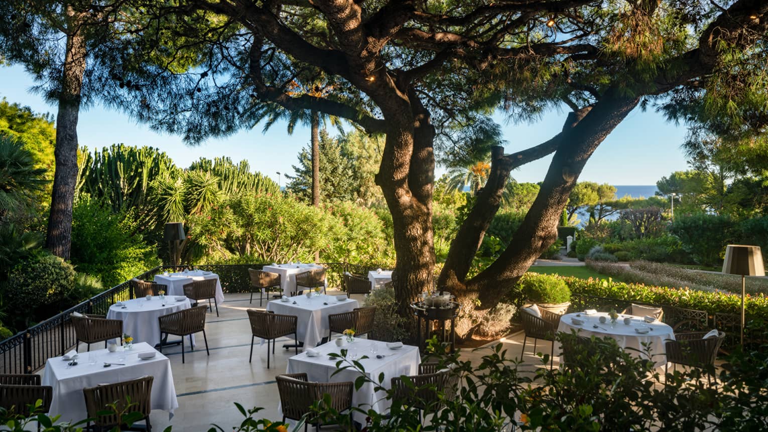 Le Cap restaurant terrace with white square tables, rattan chairs, under large tree