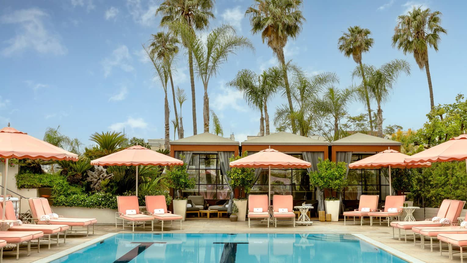 Outdoor hotel pool surrounded by pairs of pink lounge chairs under pink umbrellas with tall palm trees in the background