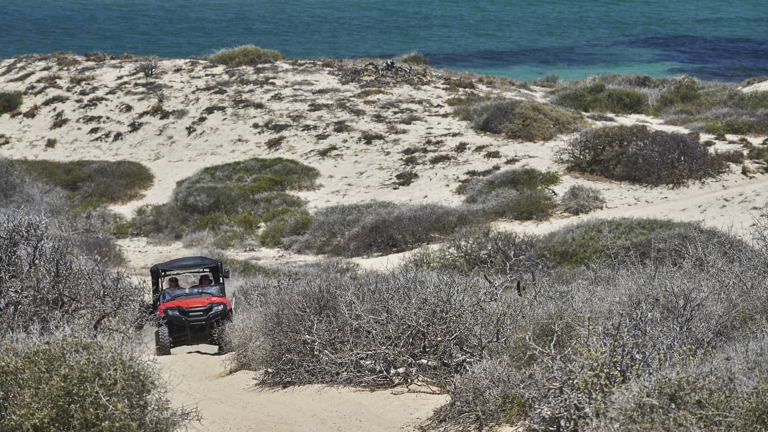 An off-road vehicle navigates a sandy trail surrounded by brush and dunes, with the ocean in the background, capturing the thrill of an off-road adventure.