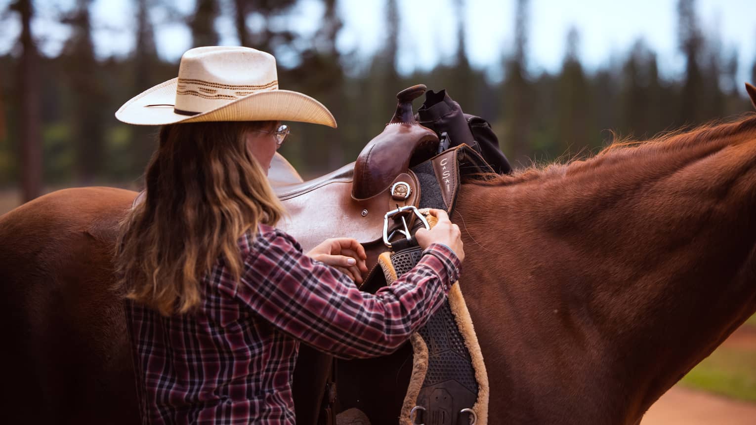 View from the right side of a chestnut horse as a rider in a straw cowboy hat attaches the girth band to the leather saddle.