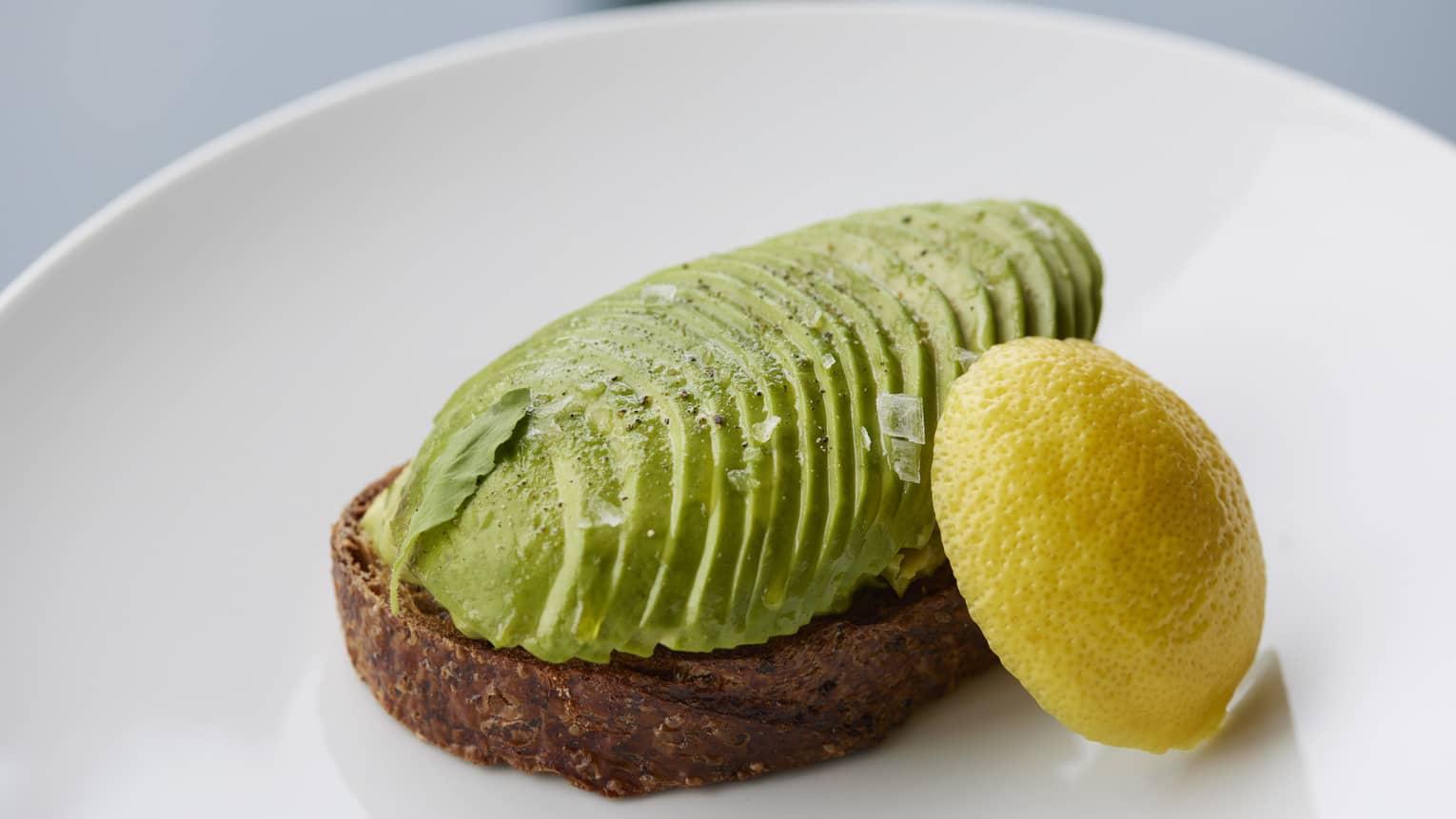 Avocado Toast on SEZANNE Sourdough, lemon cheek garnish on white plate