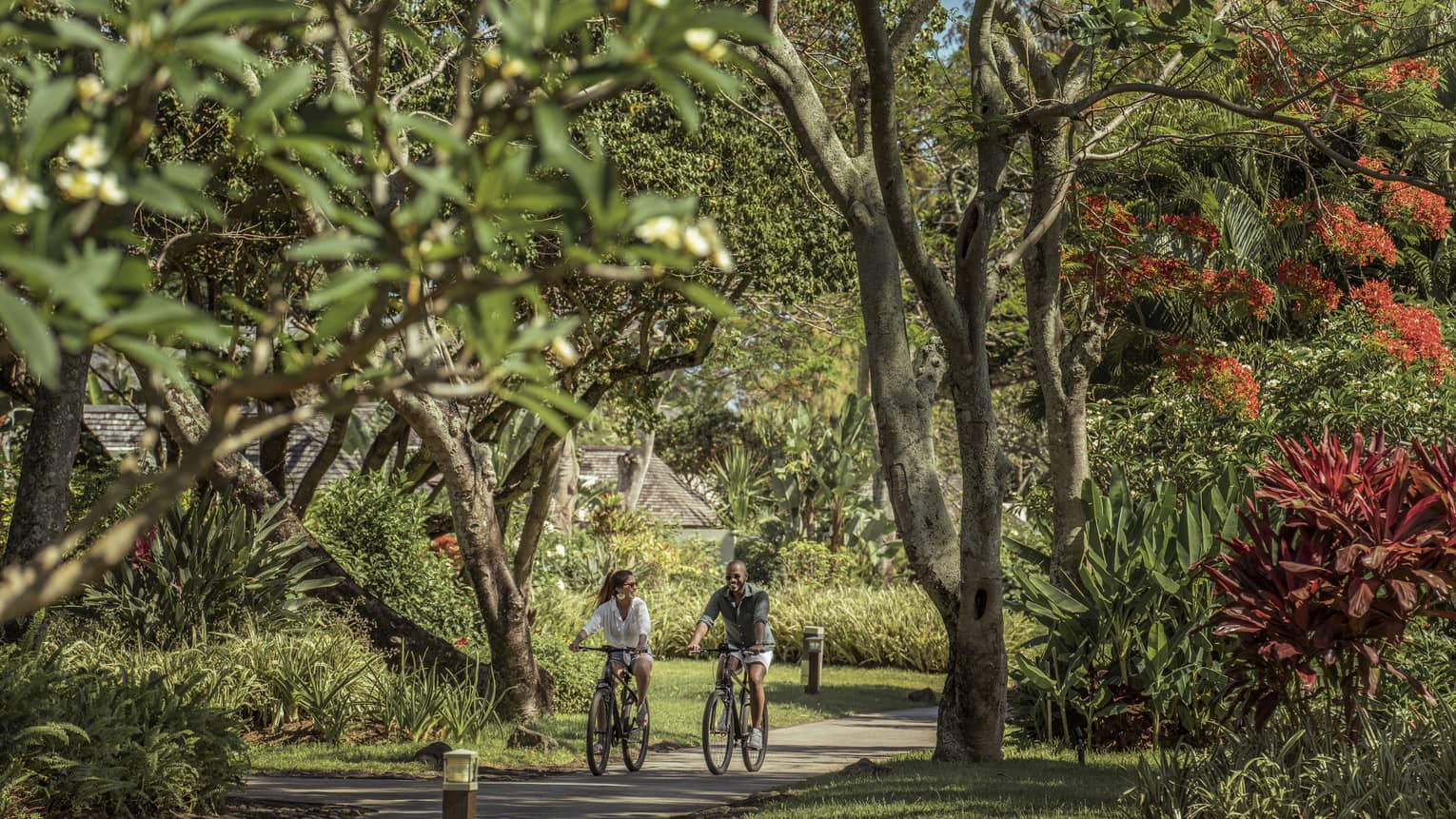 Couple cycles on a tree-lined path