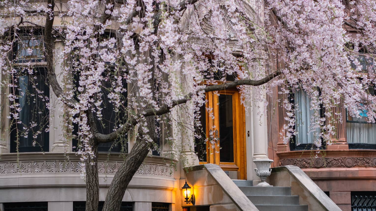 A brick and stone building with a cherry blossom tree in front of it.