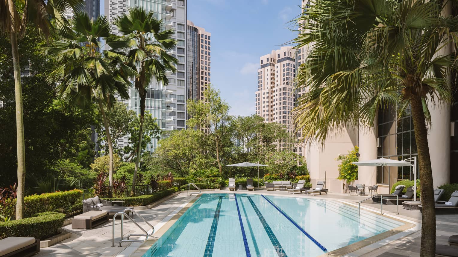 FS Singapore outdoor pool flanked by palm trees with views of downtown