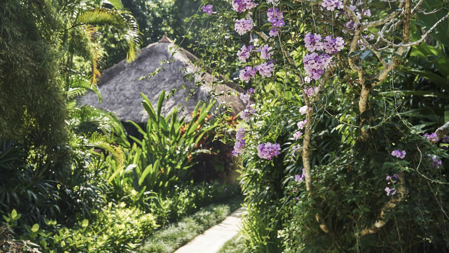 Pink and purple flowers and green foliage highlight the pathway to a villa