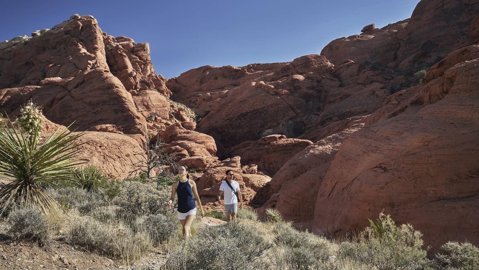 A man and woman walking through a rocky area with plants and bushes.